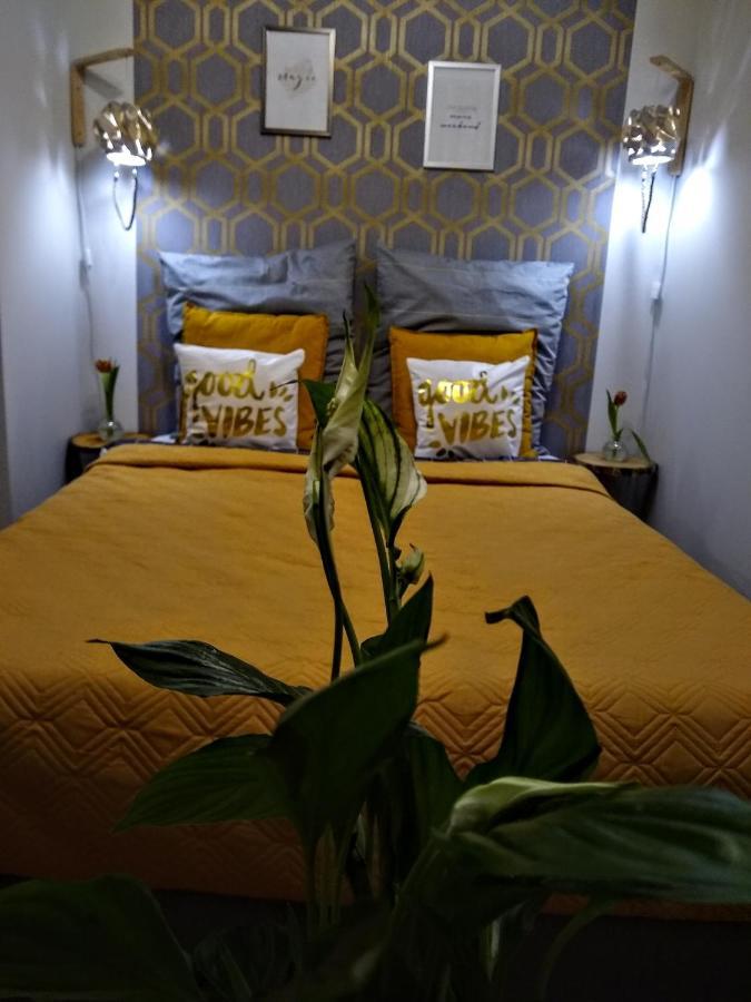 Evitadelux Slowackiego 50Mgaleria קטוביץ מראה חיצוני תמונה